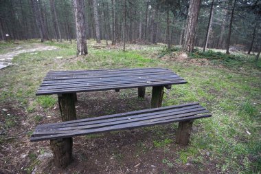 tezgah ve çam ormanı içinde tablo