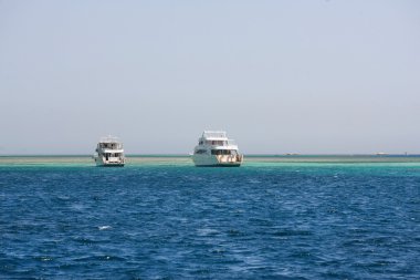 Mısır Kızıldeniz tekne