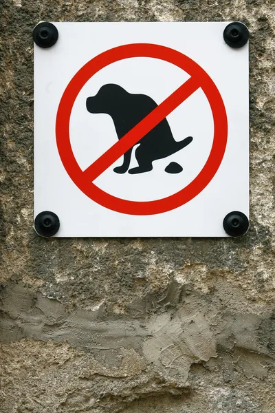 Nenhum cão Pooping sinal isolado no fundo da parede — Fotografia de Stock