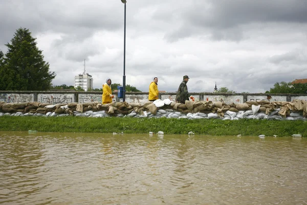 Cele mai grave inundații înregistrate în Balcani în Serbia — Fotografie, imagine de stoc