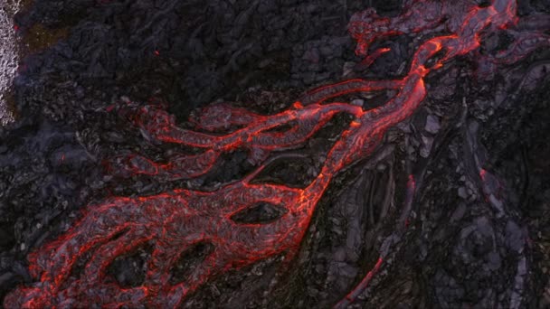 Aerial Röd Varm Lava Floder Aktiva Vulkaniska Sprickor — Stockvideo
