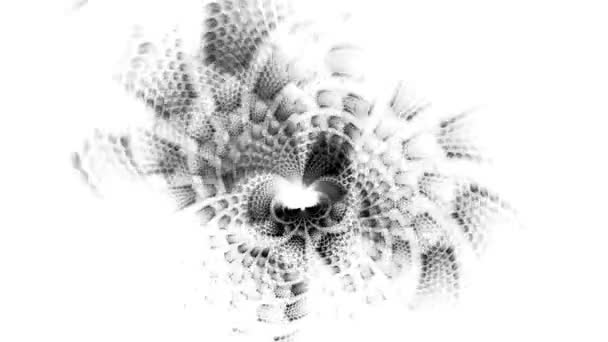 Black White Background Playing Video Jockey Psychedelic Abstraction Hypnosis Computer — Stock Video