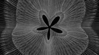 Video jokeyi VJ 'i oynamak için siyah ve beyaz arka plan. Hipnoz için psikedelik soyutlama.