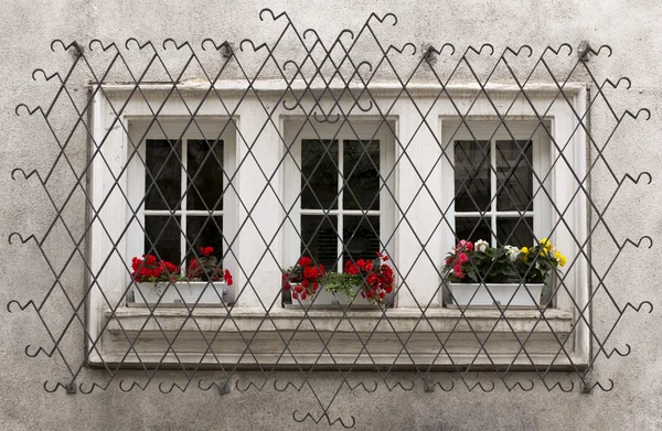 Ornate Window Security Bars — Stock Photo, Image