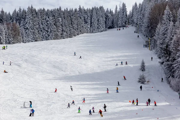 Bulgaria Sofia Vitosha February People Have Fun Skiing Vitosha Mountain — Stock Photo, Image