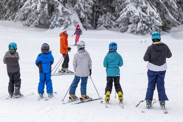 Bulgaria Sofia Vitosha February People Have Fun Skiing Vitosha Mountain — Stock Photo, Image