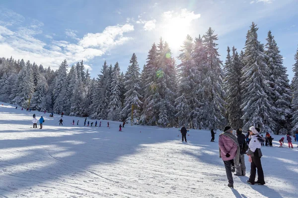 Bulgaria Sofia Vitosha February People Have Fun Skiing Vitosha Mountain — Stock Photo, Image