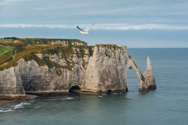 Scogliere di Etretat Foto Stock Royalty Free