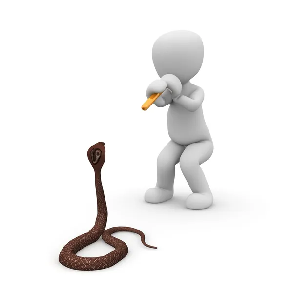 ヘビのチャーマー — ストック写真