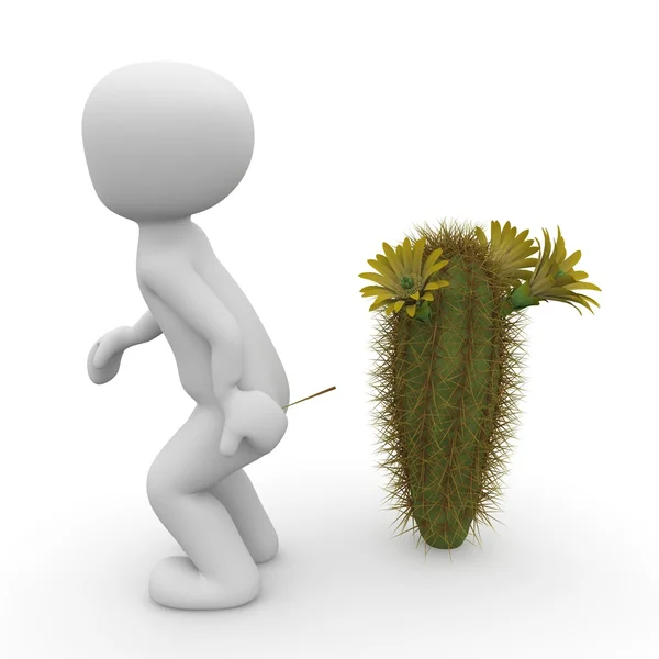 Point de cactus — Photo