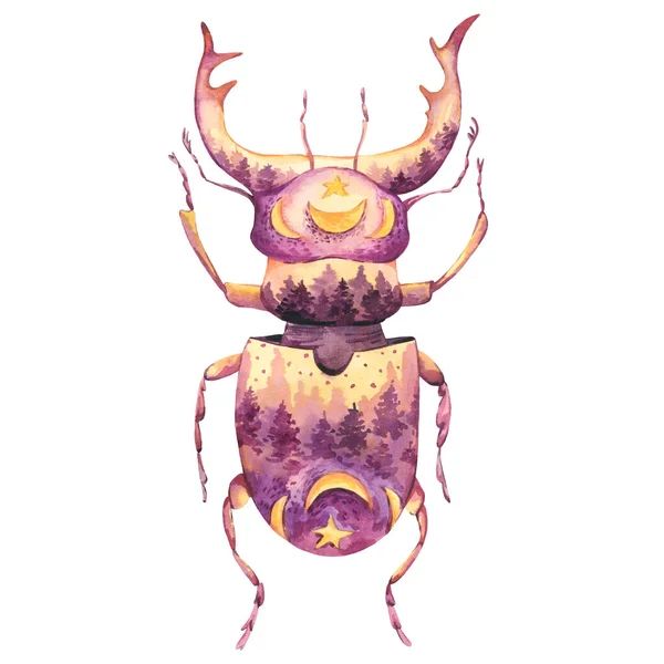 Spirituelle Heilige Käfer Totem Tiere Aquarell Illustration Isoliert Auf Weiß — Stockfoto