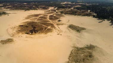 Udenhout Hollanda 'daki Ulusal Park de Loonse en Drunense Duinen. Çöl güneşli, güneşli bir gün