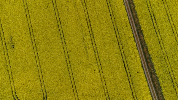 Aerial View Yellow Flowering Rapeseed Fields Countryside Landscape Travel Europe — Stockfoto