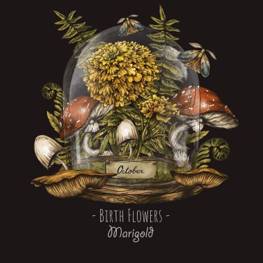 Klasik el yapımı doğum ayı çiçekleri, Marigold çiçeği, Ekim sihirli çiçek çizimi, yeşil cadı bitkileri.