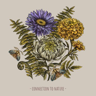 Klasik Sonbahar Çiçekleri, Klasik Botanik Aster, Marigold, Kasımpatı Çiçek Çiçek Kutlama Kartı, Güve ve İllüstrasyonu