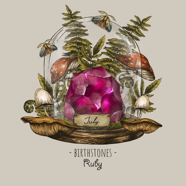 Vintage birthstones, Ruby gemstone, July magic illustration, wicca illustration