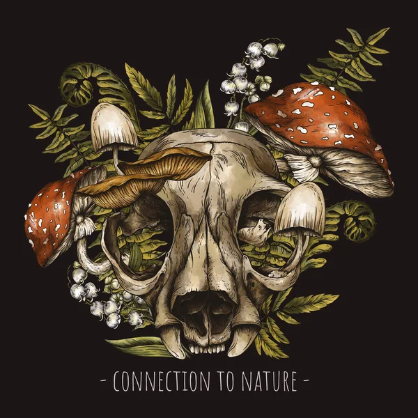 Vintage Animal Skull Grußkarte Amanita Pilz Farn Und Waldblumen — Stockfoto