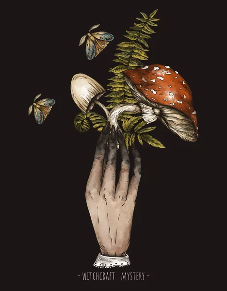 ヴィンテージ魔法の植物魔女の手で天下キノコ 魔女の謎 フライ農業キノコ ベージュ地に描かれた手描きのオカルトイラスト — ストック写真