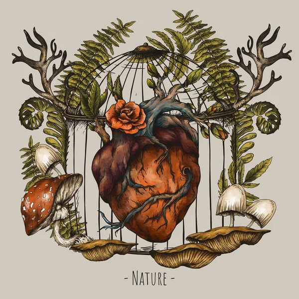 빈티지 Floral Human Heart Illustration Magic Woodland Plants Amanita Mushroom — 스톡 사진