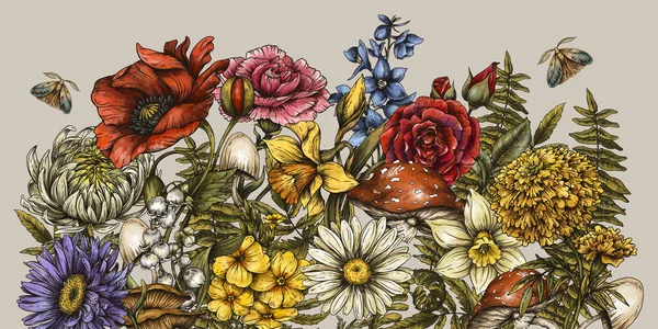 Klasik Yaz Çiçekleri Klasik Botanik Gelinciği Daisy Çiçek Kutlama Kartı — Stok fotoğraf