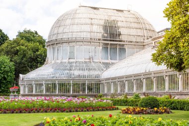 Belfast 'taki Palm House, Kuzey İrlanda