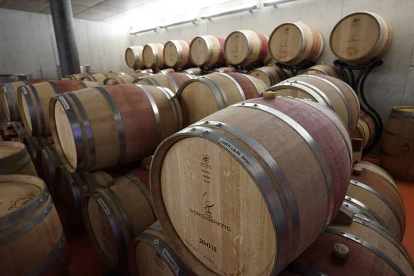 Wine Barrels Old Cellar Stock Picture