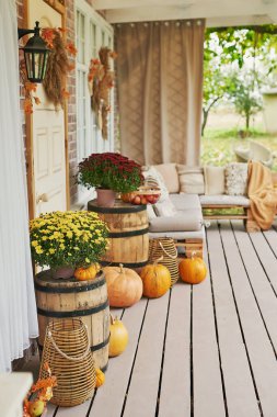Sonbahar hasat terası arka planı. Cadılar Bayramı. Taşra. Balkabakları ve çiçekler. Tatil evi. Şükran Günü