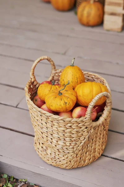 Autumn Harvest Terrace Background Halloween Country Pumpkins Flowers Vacation Home — Stock Photo, Image