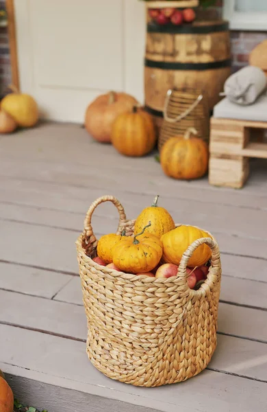 Autumn Harvest Terrace Background Halloween Country Pumpkins Flowers Vacation Home — Stock Photo, Image
