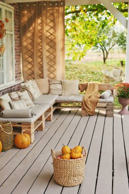 Sonbahar hasat terası arka planı. Cadılar Bayramı. Taşra. Balkabakları ve çiçekler. Tatil evi. Şükran Günü