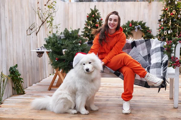 Jovem Mulher Fundo Árvore Natal Com Cão Branco Samoyed Santa — Fotografia de Stock