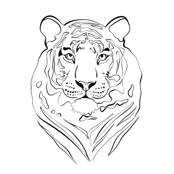 Illustration Tiger White Background — Stock Vector