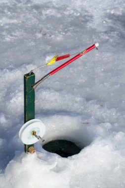 buz balıkçılık pole