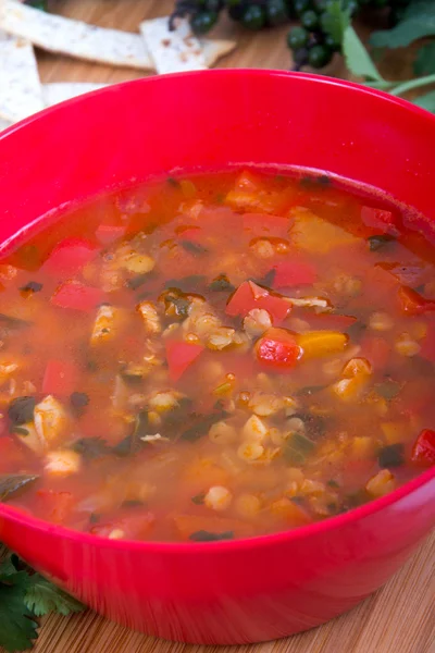 Sopa de verduras —  Fotos de Stock