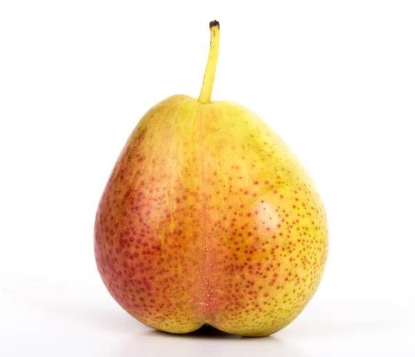 Forelle pear — Stockfoto