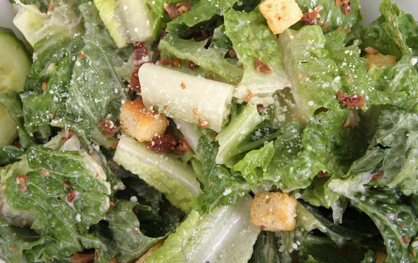 Salada Caesar close-up — Fotografia de Stock