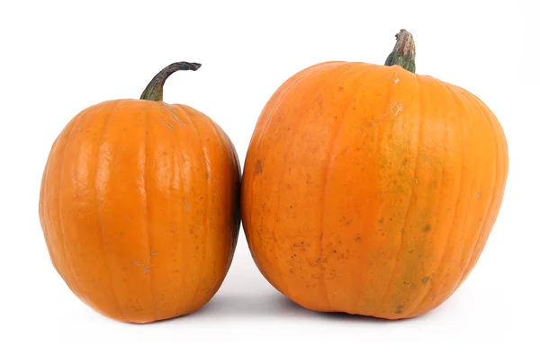 Zucca isolata — Foto Stock