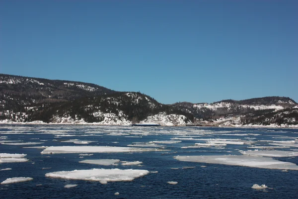 Saguenay Fjord, Canada — Stockfoto