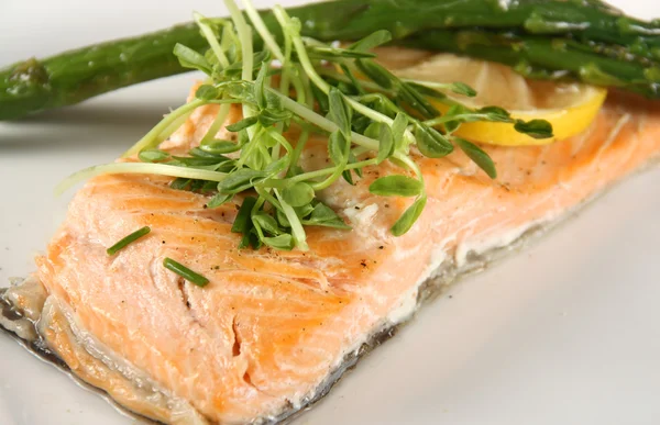 baked trout fillet