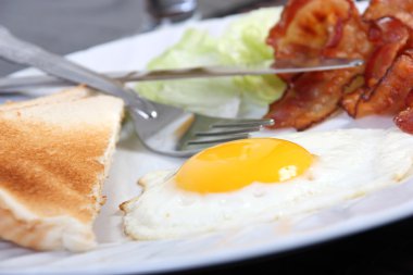 sahanda yumurta kahvaltı