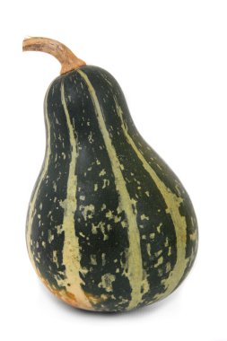 Dekoratif squash