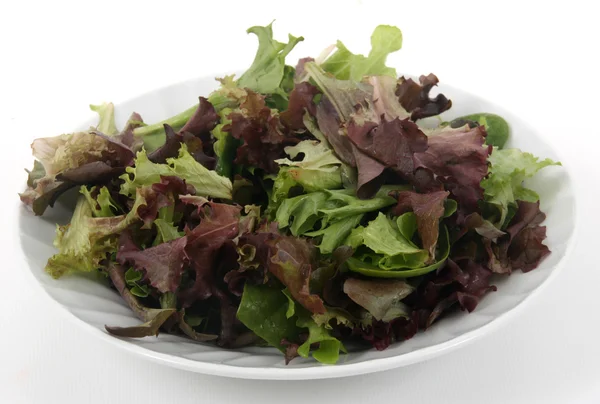 Mesclun salát — Stock fotografie