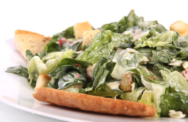 Caesarsalade — Stockfoto