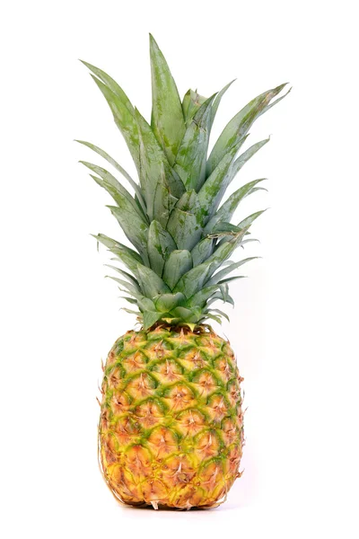 Ananas isolato — Foto Stock