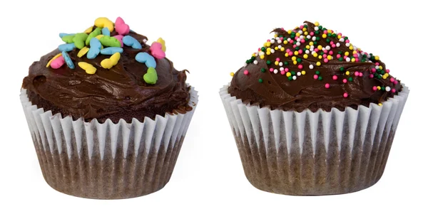 Chocolate cupcakes — Stock Photo, Image