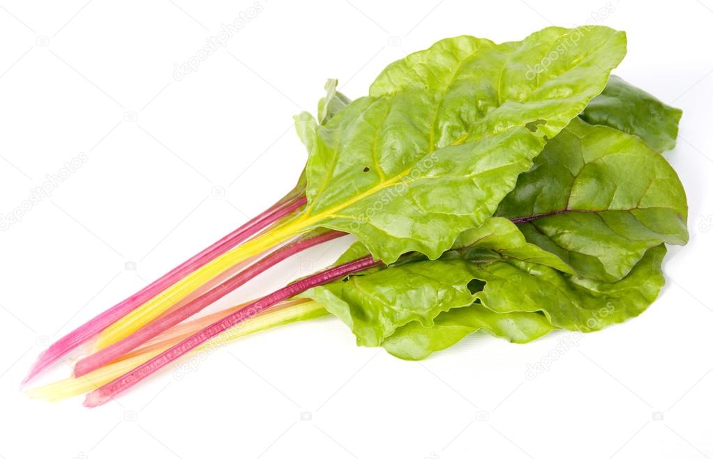 swiss chard isolated on white