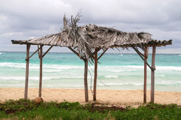 Küba cayo coco