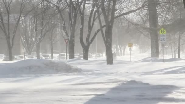 Winter blizzard straatbeeld hd — Stockvideo