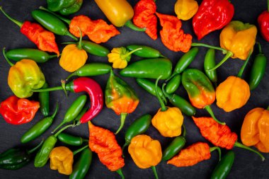 Siyah arka planda taze acı biberler. Ölüm spirali habanero scotch bonnet trinidad