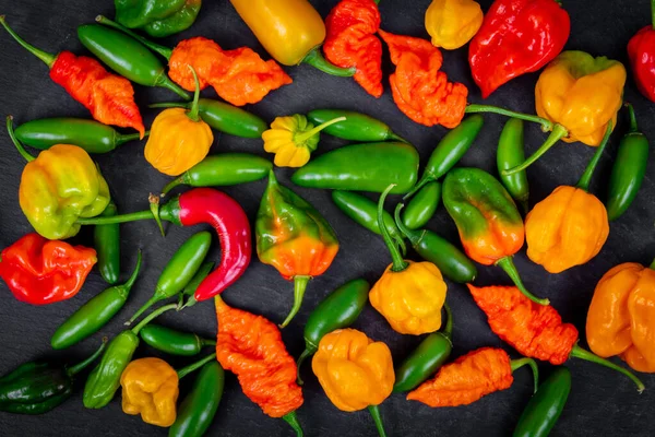 Piments Frais Assortis Chiles Sur Fond Noir Chapeau Spirale Habanero — Photo